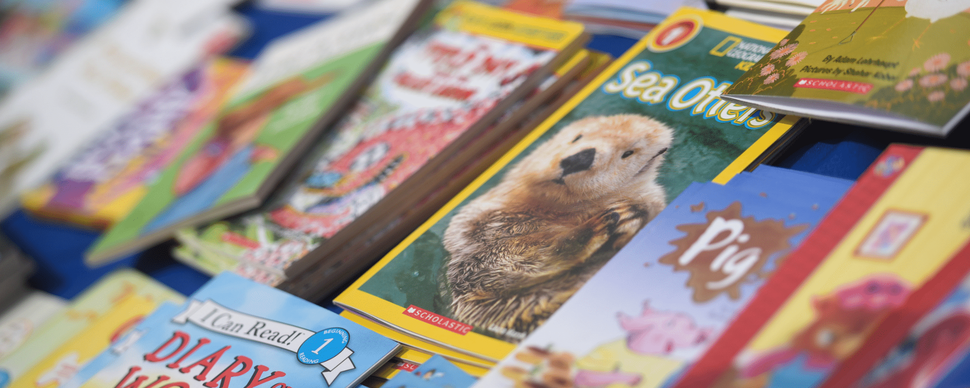 Sample books from Summer Book Give-Away